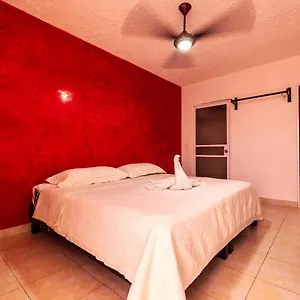 Caribe Express 2* Cozumel